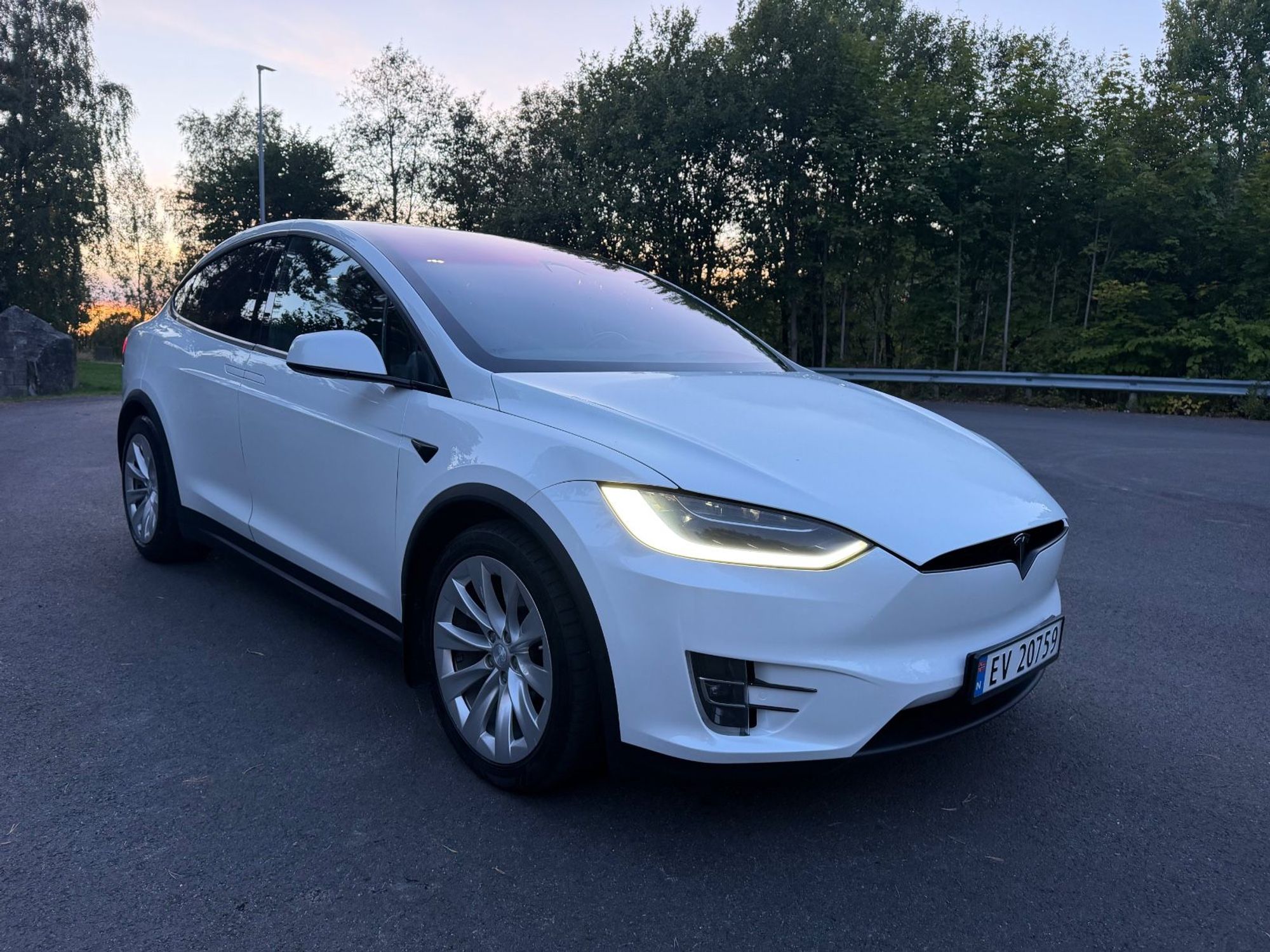 Tesla Model X 75D, 525hp, 2018