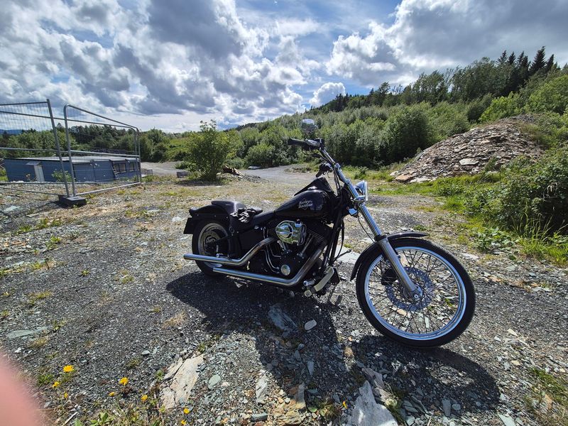 Cyleto Bremsbeläge Für Harley Davidson Softail & Night Train – Vorne & Hinten, Halbmetallisch